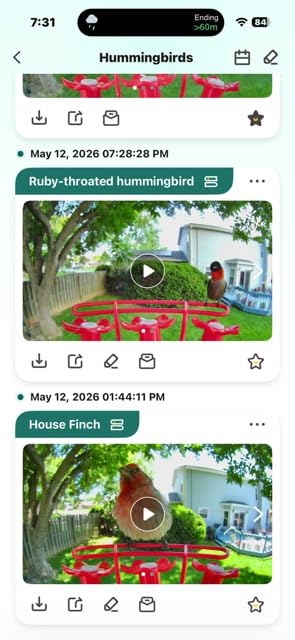 Hummingbird Feeder with Camera, 4K Ultra HD Video at 30fps, 10x Slow-Motion at 120fps, 1.9in Closer Focus, No Subscription, Leak Proof, Ant Moat, Solar Powered, 2.4G&5G Wi-Fi, Bird Lover Gift customer photo 1