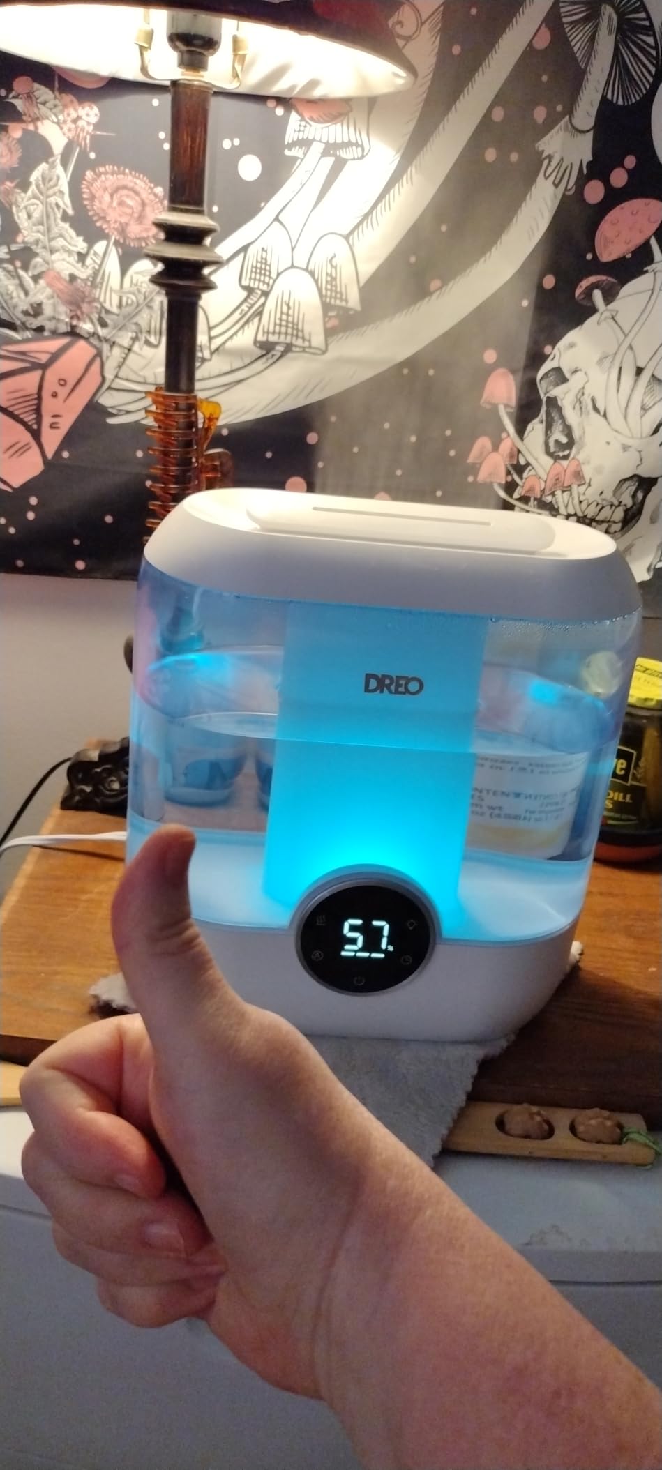 DREO 3L Humidifiers for Bedroom, 30H Runtime, 26 dB Quiet, New Edition | Easy to Refill & Clean, Precise Humidity Control, Night light, Cool Mist Air Humidifier for Large Room, Baby Nursery customer photo 2