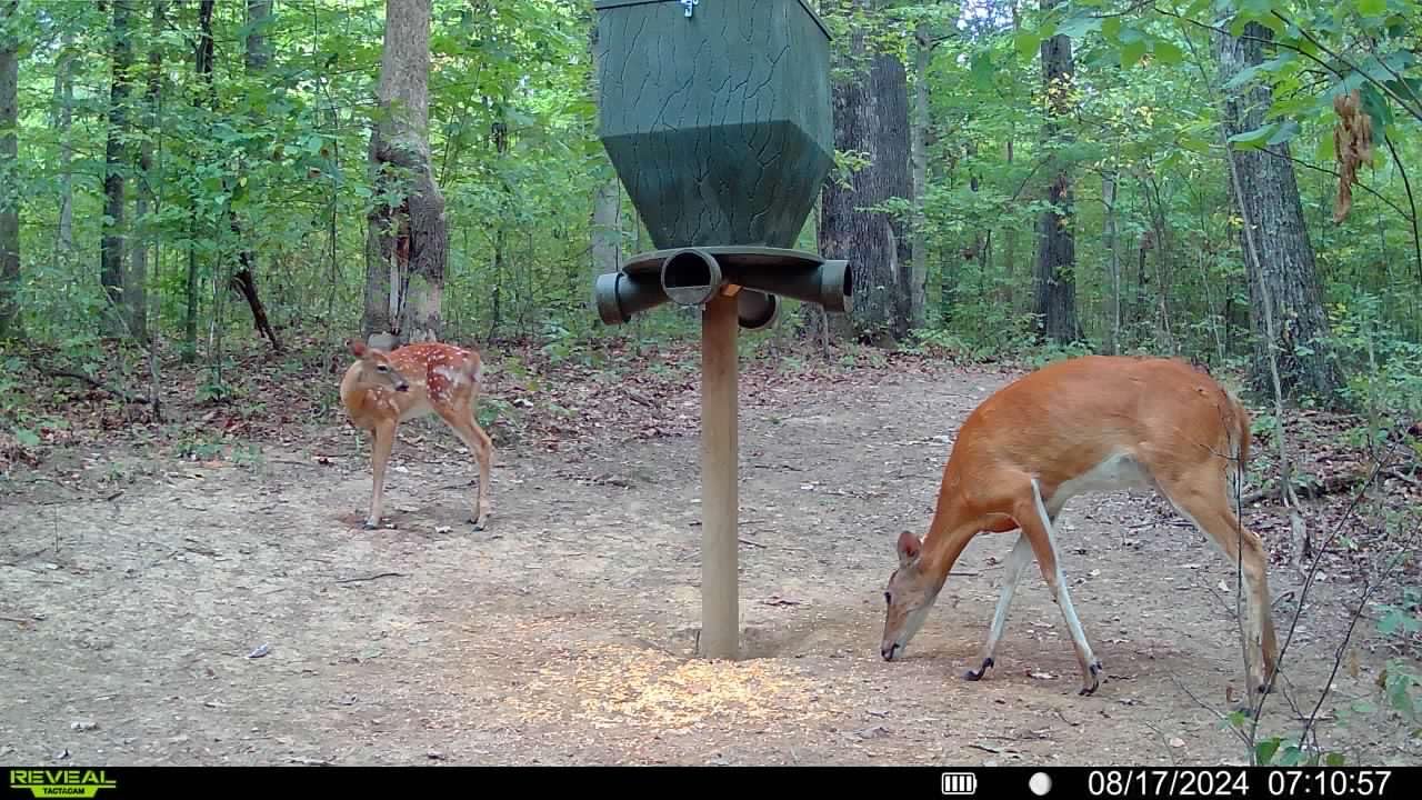TACTACAM Reveal X Gen 3.0 Cellular Trail Camera - Multi Carrier, HD Photos & Videos, Pre-Installed Antenna, Built-in GPS, Best Battery Life, Low-Glow, Fast Trigger Speed + Cleaning Cloth (1 PK) customer photo 1
