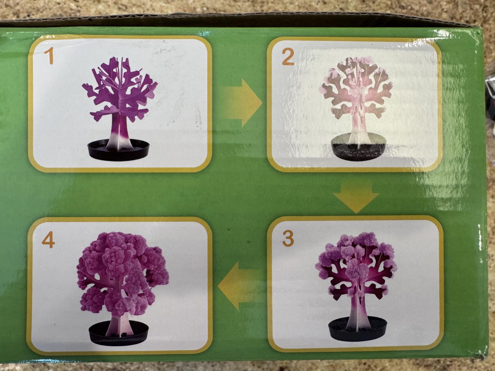 24 Pcs Growing Crystal Trees Bulk with Cards for Kids STEM Science Experiment Kit Party Favors Classroom Prizes Goodie Bags Stuffers Gifts Exchange for Boys and Girls customer photo 1