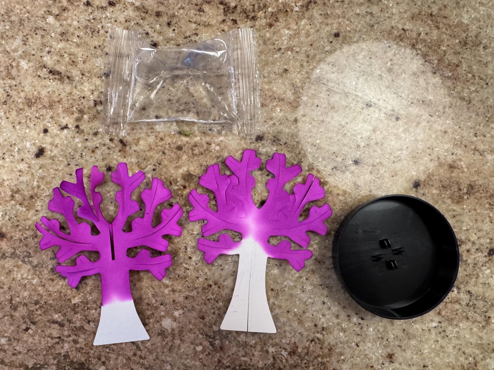 24 Pcs Growing Crystal Trees Bulk with Cards for Kids STEM Science Experiment Kit Party Favors Classroom Prizes Goodie Bags Stuffers Gifts Exchange for Boys and Girls customer photo 2