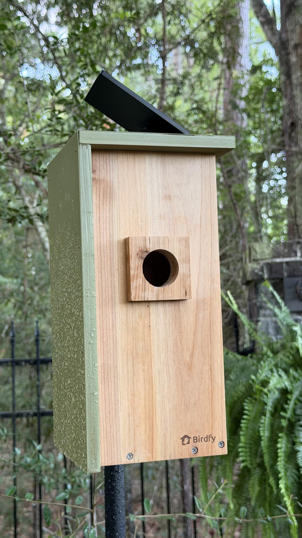 Birdfy Bird House with Camera Solar Powered with Metal Cladding for Outside | Bird Box with AI Bird ID, 1080P FHD & Night Vision for Bird Nest Watching, Auto Detect & Notify customer photo 2