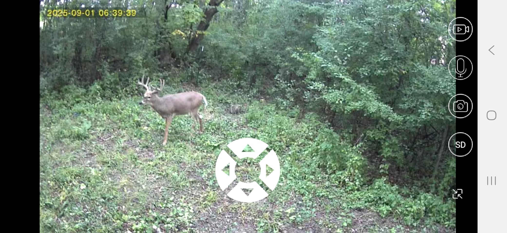 Oculview 4G LTE Cellular Trail Camera 360° Live Streaming Solar Deer Camera, SIM Card Included, Clear Night Vision, Remote Phone Control, Instant Alerts, Cloud Storage for Hunting/Outdoor Security customer photo 2