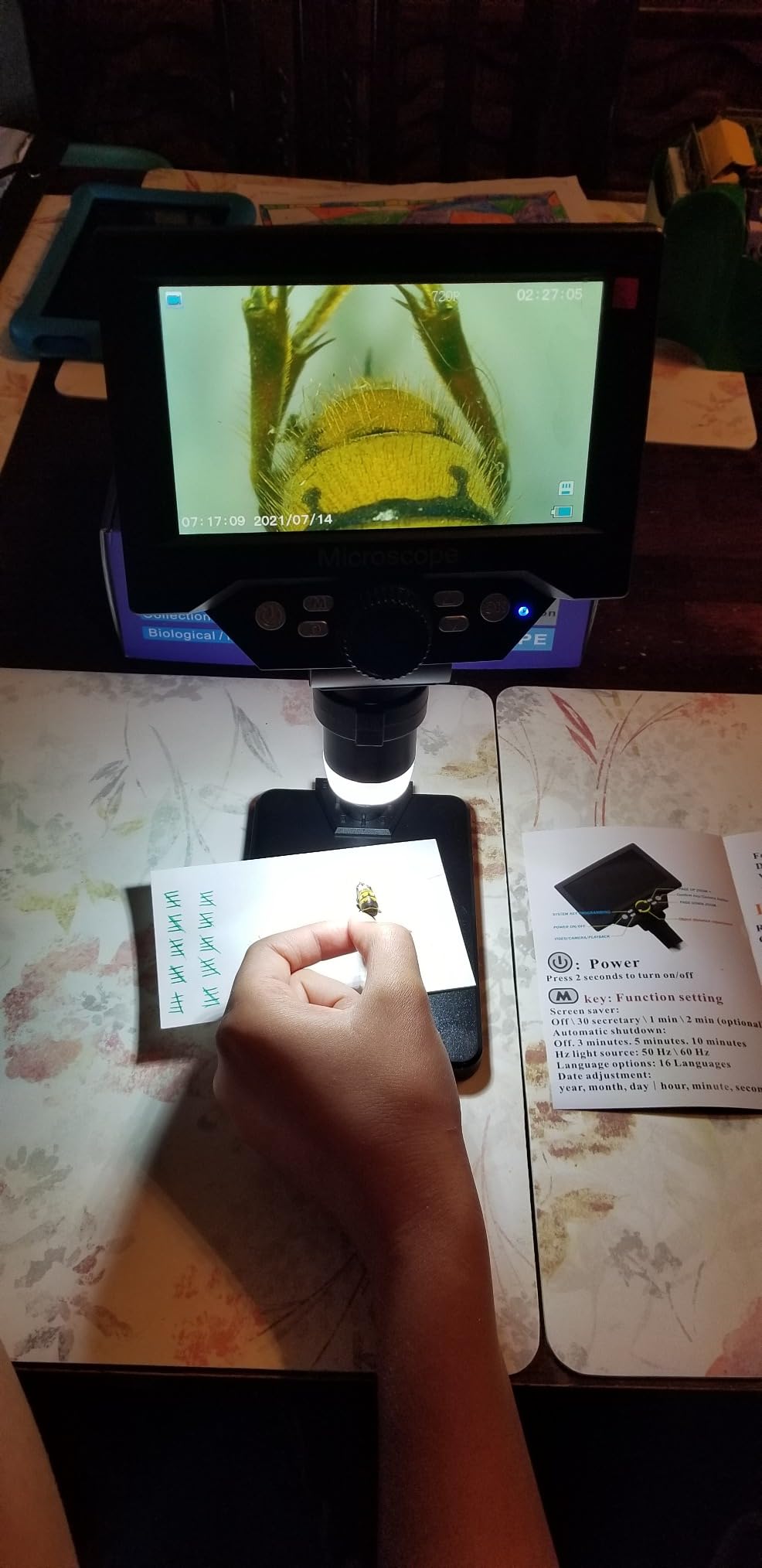 PalliPartners 40x-2000x Biological Compound Trinocular Microscope | 5MP camera for digital capture, Professional grade optics, bright LED illumination customer photo 2