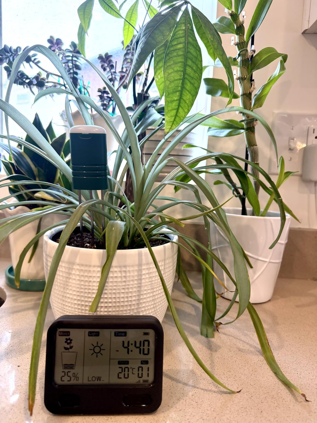 Soil Moisture Meter for Plants, 4-in-1 Wireless Soil Tester, Soil Thermometer/Moisture/Sunlight Time, Large Screen, Indoor/Outdoor Plant Water Meter, Garden Soil Test Kit for Lawn, Farm, Houseplants customer photo 2