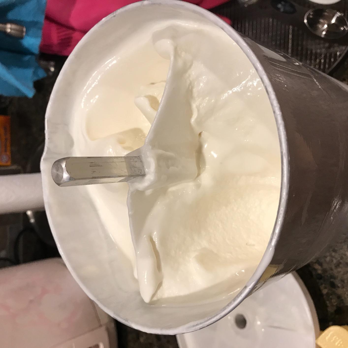 Hamilton Beach Automatic Electric Ice Cream Maker & Frozen Yogurt Machine customer photo 2