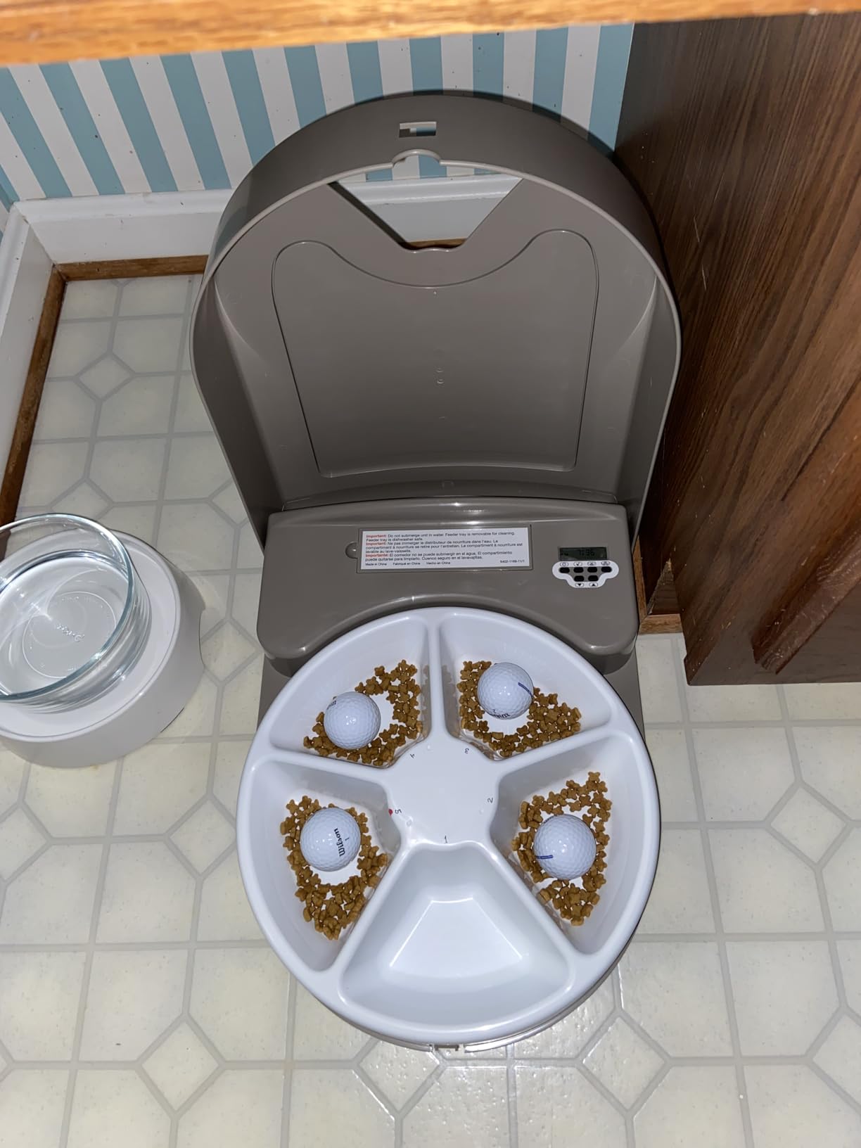 PetSafe Automatic Dog Feeder, 5 Meals, 40 oz Capacity, Plastic, for Dry Food, Multiple Pets customer photo 1