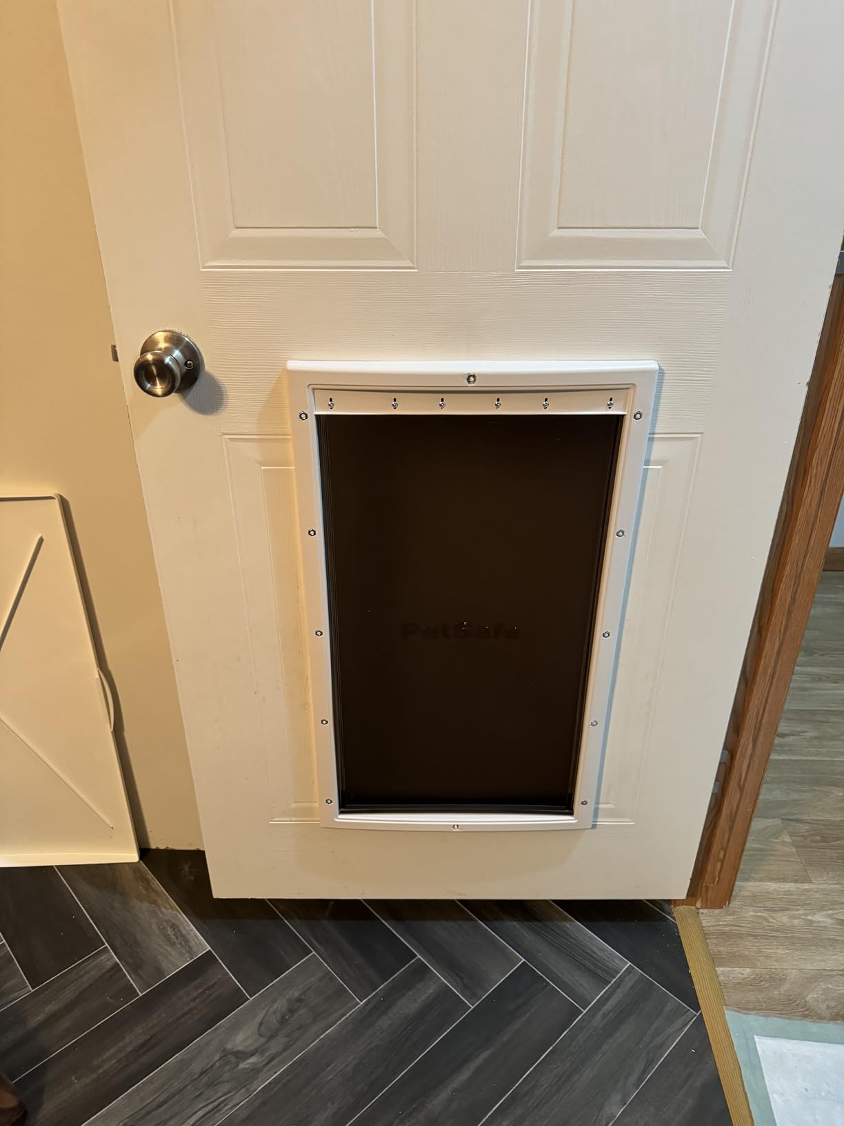 PetSafe Plastic Dog & Cat Door, Pets Up to 220 lb, X-Large customer photo 2
