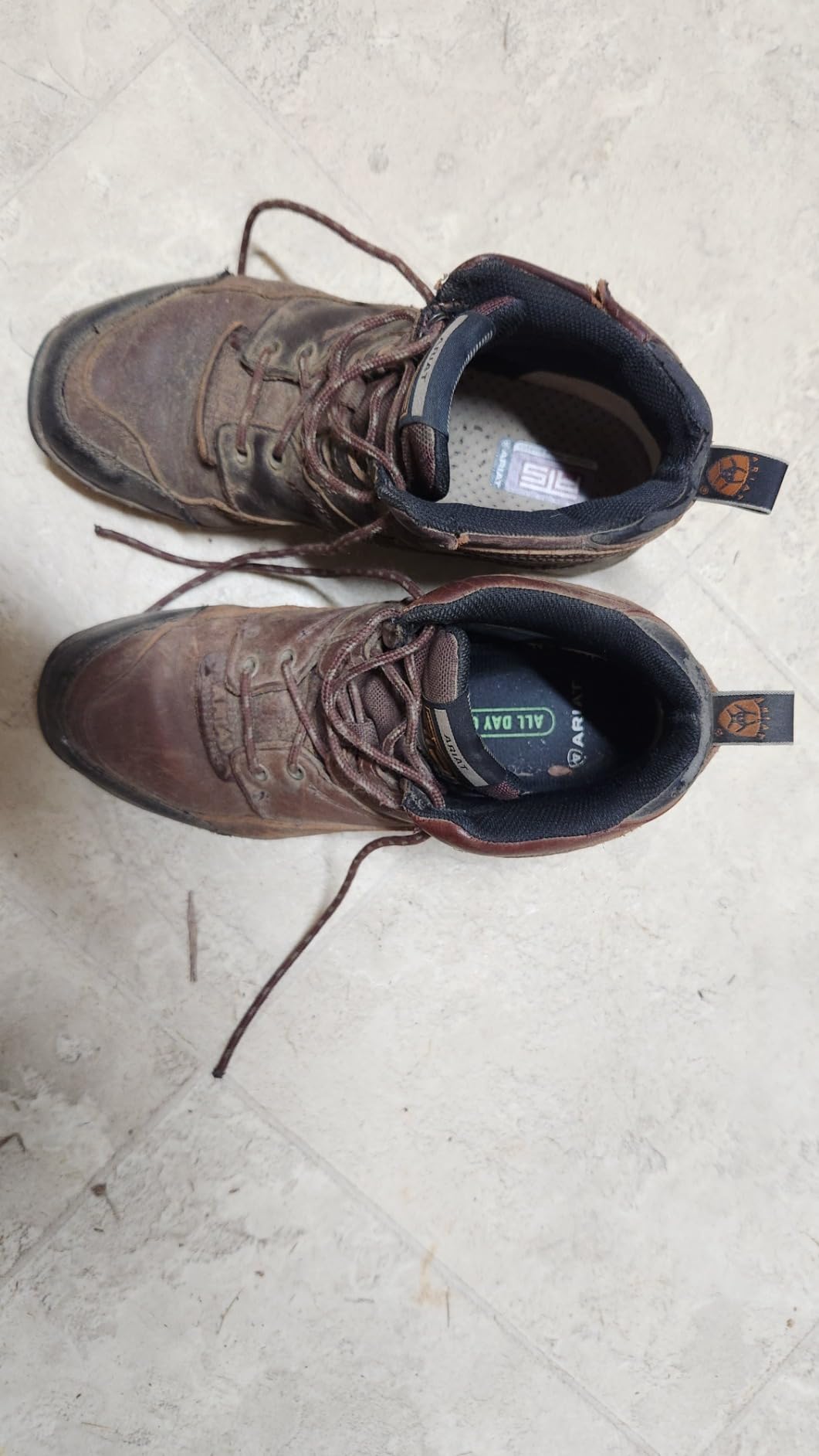 ARIAT Women's Terrain Hiking Boots customer photo 2