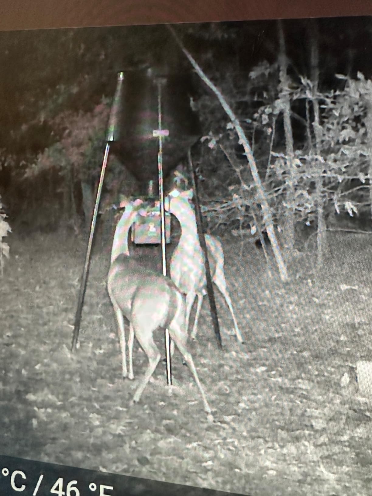 BOSS BUCK 12V Auto Large Feed Kit | Hunting Versatile Automatic Durable Steel Control Box with Digital Timer & Motor for Deer Game Feeder customer photo 1