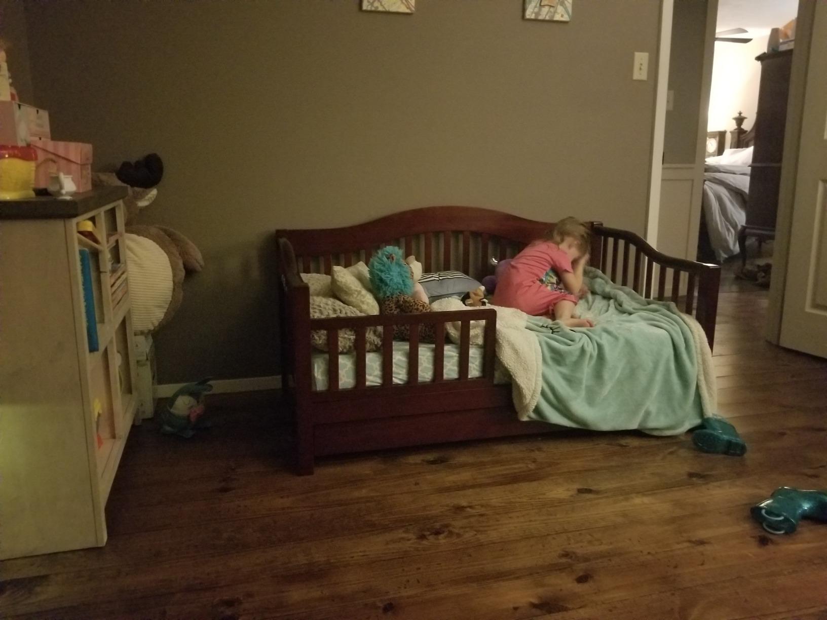 Dream On Me Toddler Day Bed in White - Greenguard Gold & Baby Safety Alliance Certified, Low-to-Floor Design, Removable Safety Guard Rail, Non-Toxic Finish, Includes Storage Drawer customer photo 1