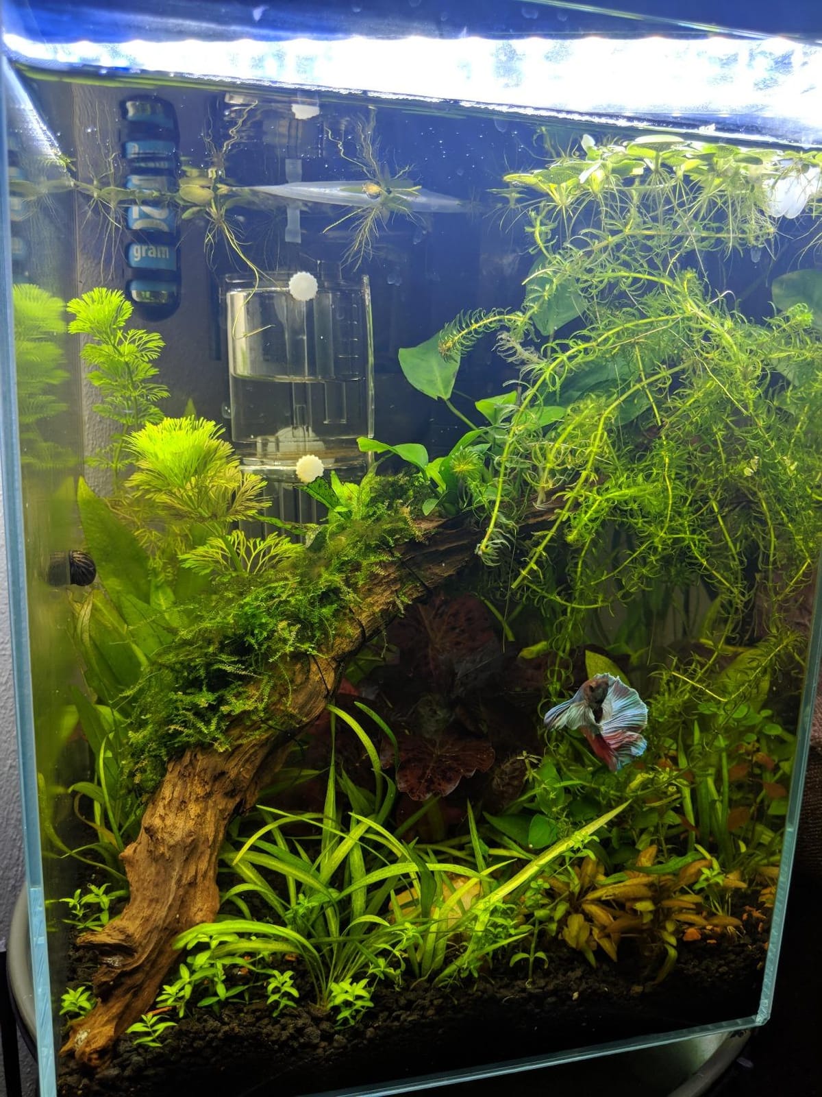 Hagen FL Mini Pressurized 20g CO2 Kit customer photo 1