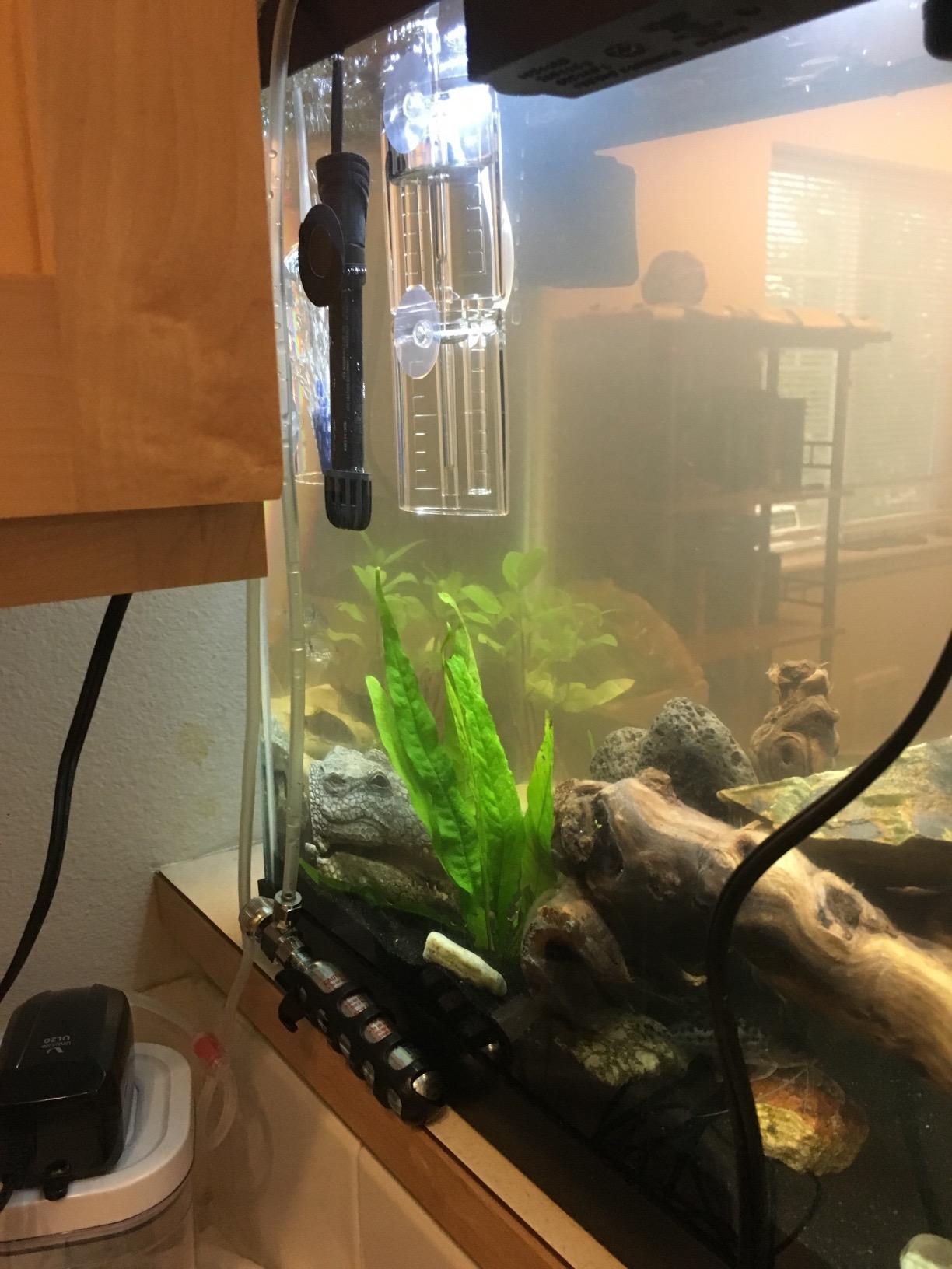 Hagen FL Mini Pressurized 20g CO2 Kit customer photo 2