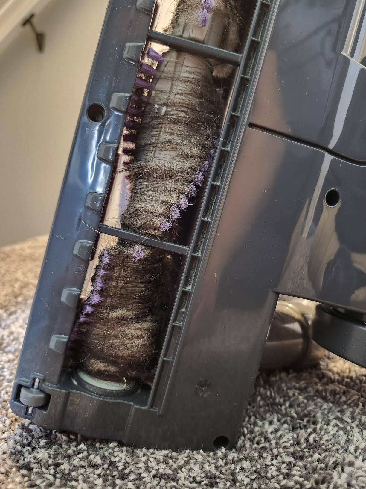 Shark Navigator Lift-Away Upright Vacuum, HEPA, Pet Hair, Lavender, NV352 customer photo 1