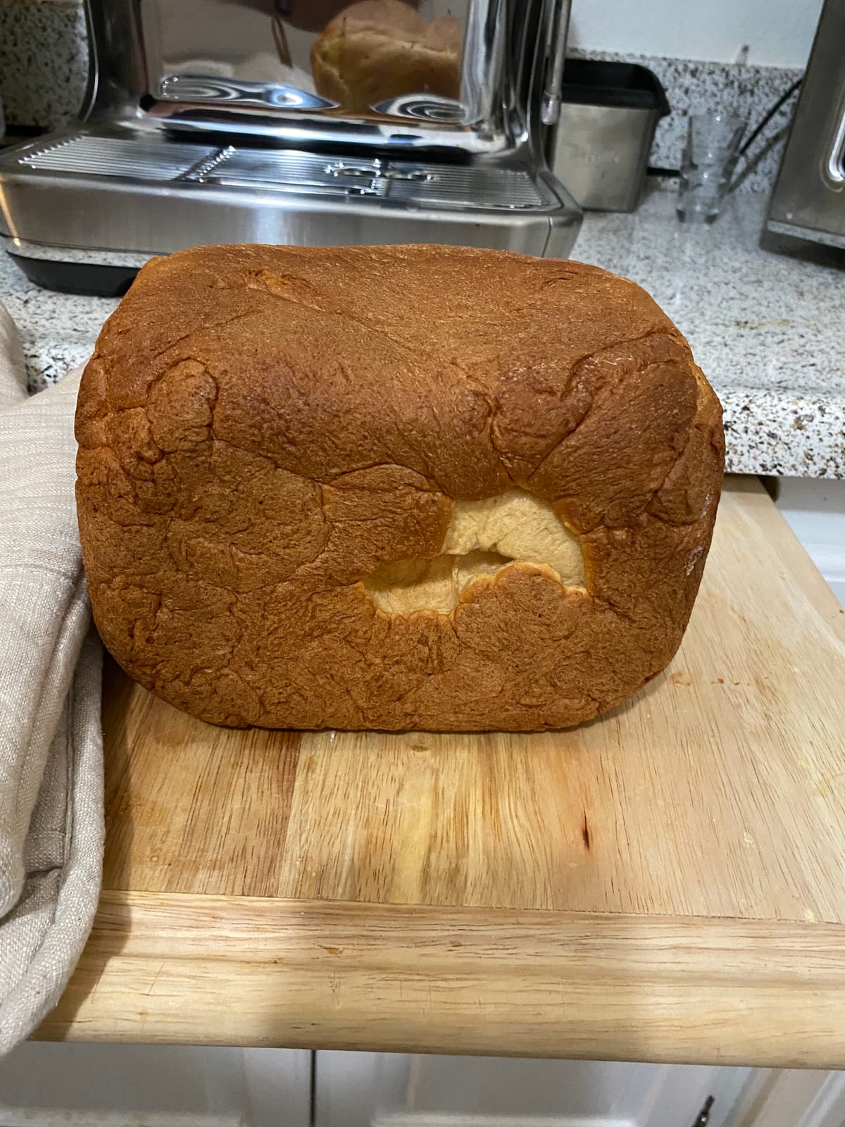 Breville BBM800XL Custom Loaf Bread Maker Machine, Brushed Stainless Steel customer photo 2