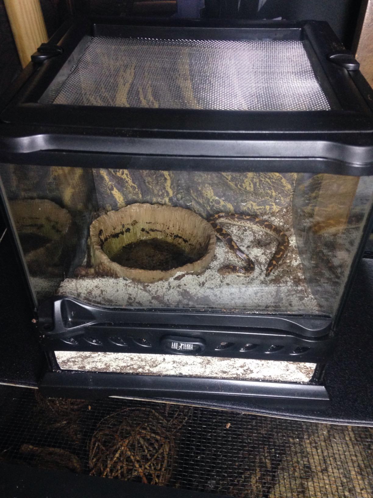Exo Terra Glass Terrarium Kit, for Reptiles and Amphibians, Nano, 8 x 8 x 8 inches, PT2599A1 customer photo 1