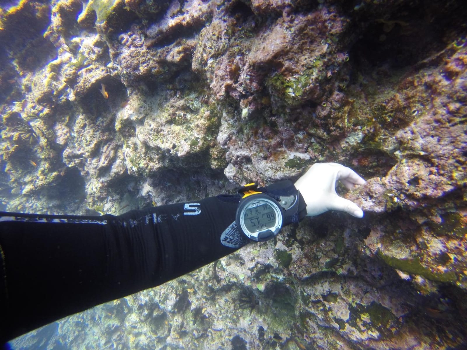 CRESSI Leonardo 2.0 Scuba Dive Watch, Air Nitrox Gauge, White/Black | Dive Computer, Air Nitrox Gauge Modes, Single-Button Control, Visual & Audible Alarm, USB & Infrared Transfer, Diving Watch customer photo 2