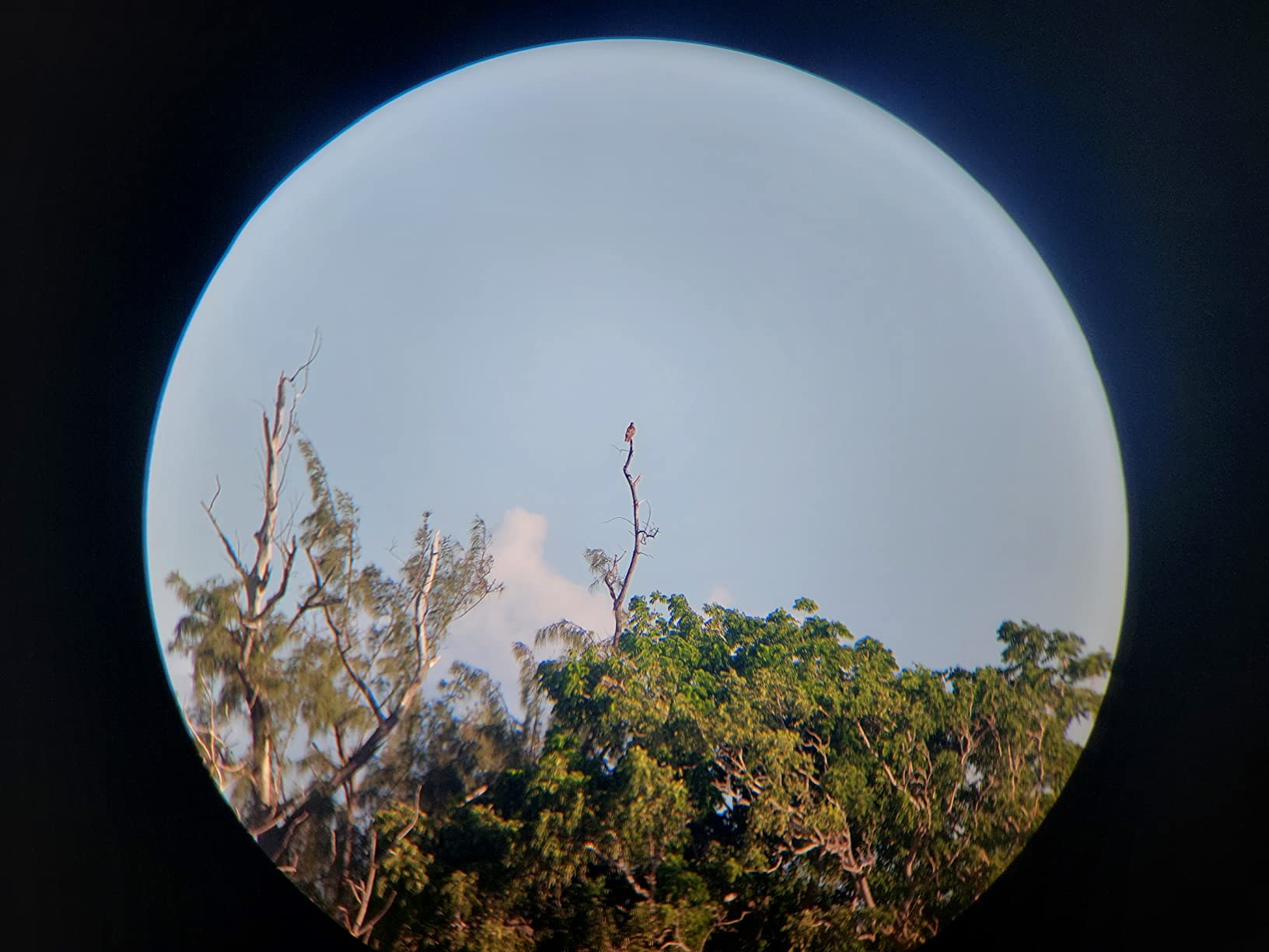Bushnell H2O Waterproof/Fogproof Compact Roof Prism Binocular customer photo 2