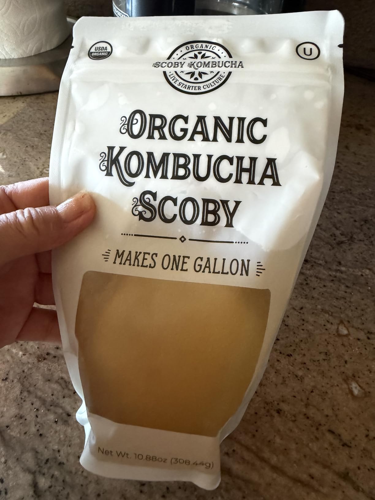 1 X Organic Kombucha Scoby - Live Culture by Scoby Kombucha customer photo 1