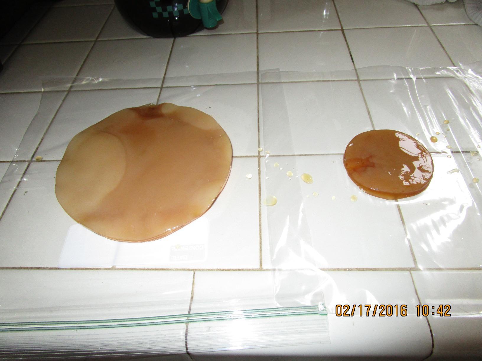 1 X Organic Kombucha Scoby - Live Culture by Scoby Kombucha customer photo 2