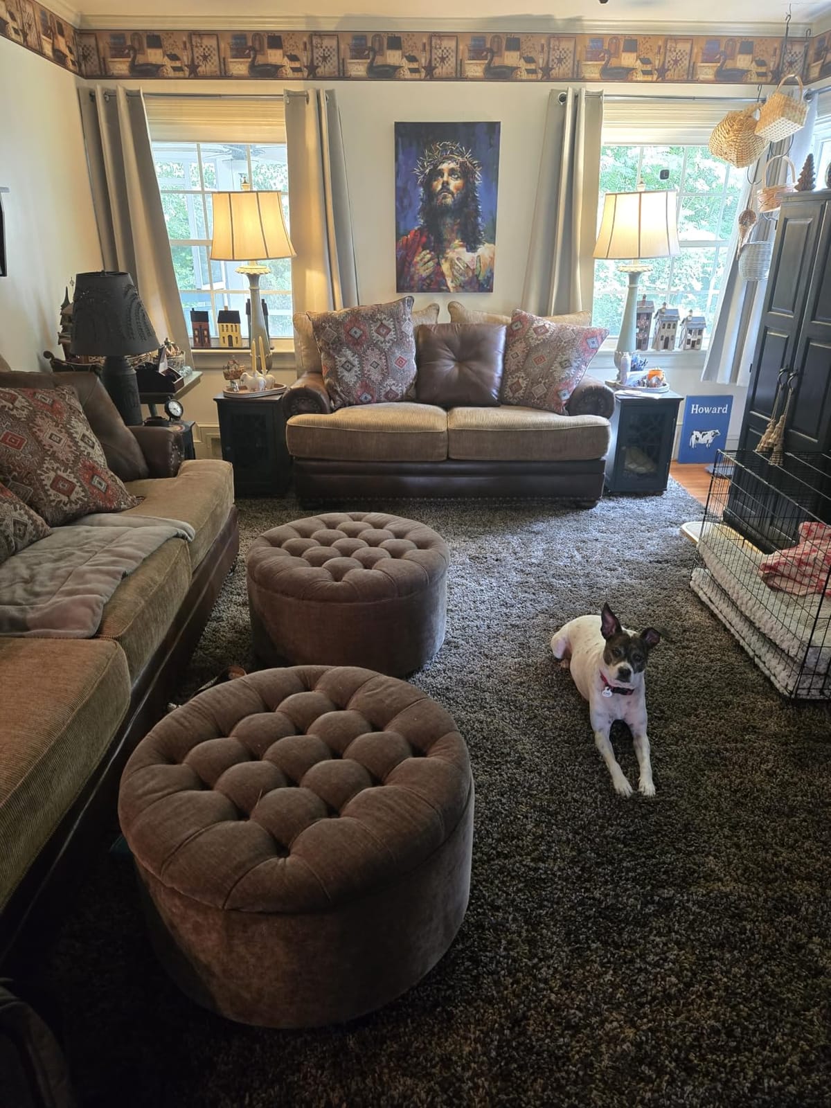 SAFAVIEH Area Rug 8x10 - California Shag Collection - Large - White, Non-Shedding & Easy to Clean, Ultra Plush Thick Pile, Ideal for Living Room, Bedroom, Dining Space (SG151-1010) customer photo 2