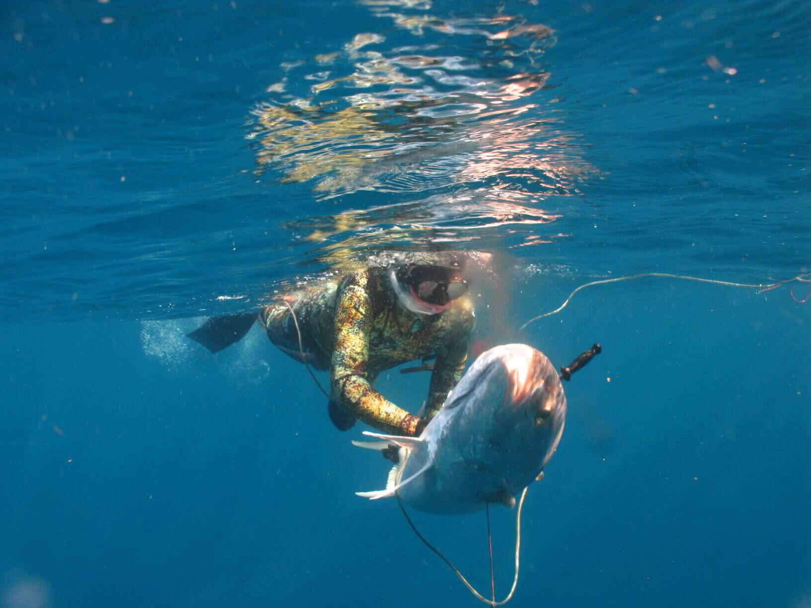 Cressi Low Volume Adult Mask for Scuba, Freediving, Spearfishing - Nano Made in Italy customer photo 2