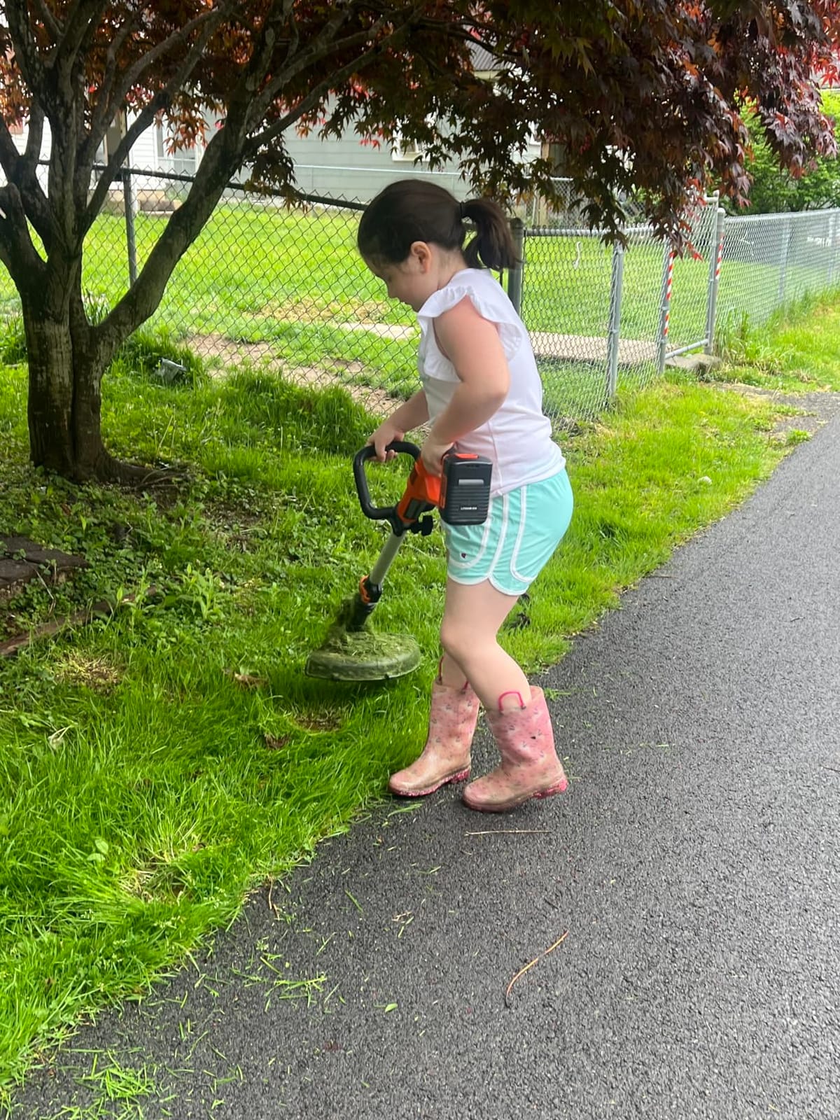 BLACK+DECKER 40V MAX 13 in String Trimmer Edger Cordless with Adjustable Telescoping Pole, 2 in 1 Weed Wacker Lawn Edger, Includes Battery and Charger (LST136) customer photo 2