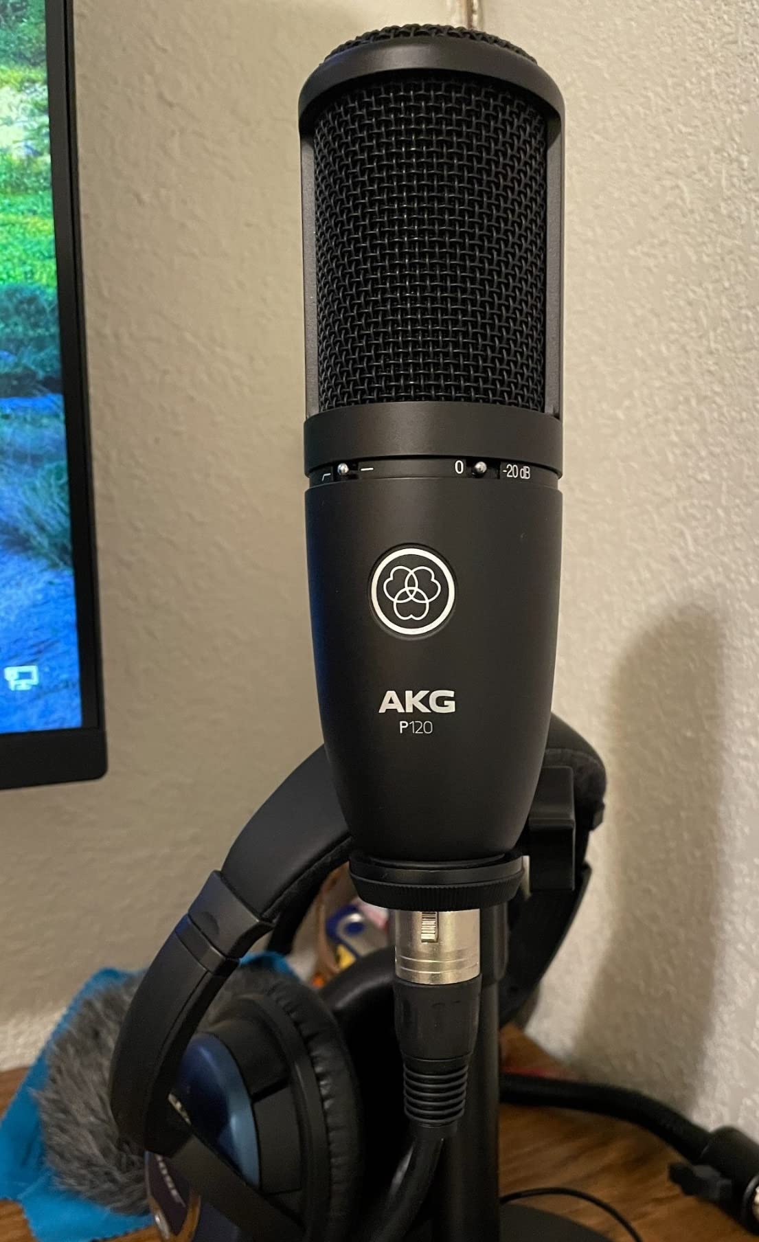 AKG Pro Audio P120 - Affordable 2/3-Inch Diaphragm Condenser Microphone for Clear Vocals & Instruments. Studio Recording or Live. XLR Connector. Black customer photo 1