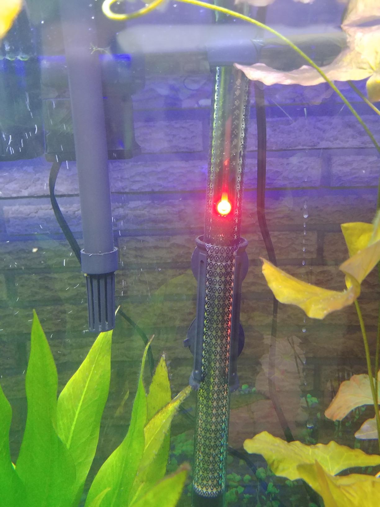 Marineland Precision Heater for Saltwater or Freshwater Aquariums customer photo 2