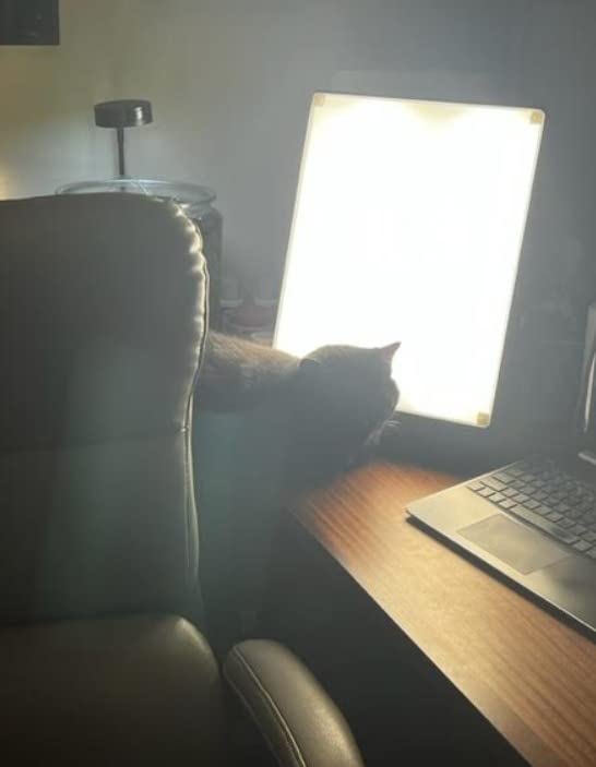 Northern Light Technologies Boxelite - 10000 Lux Light Therapy Lamp - Full Spectrum Lightbox Therapy Light for Natural Mood and Energy Enhancement, Sunlight Desk Lamp customer photo 2