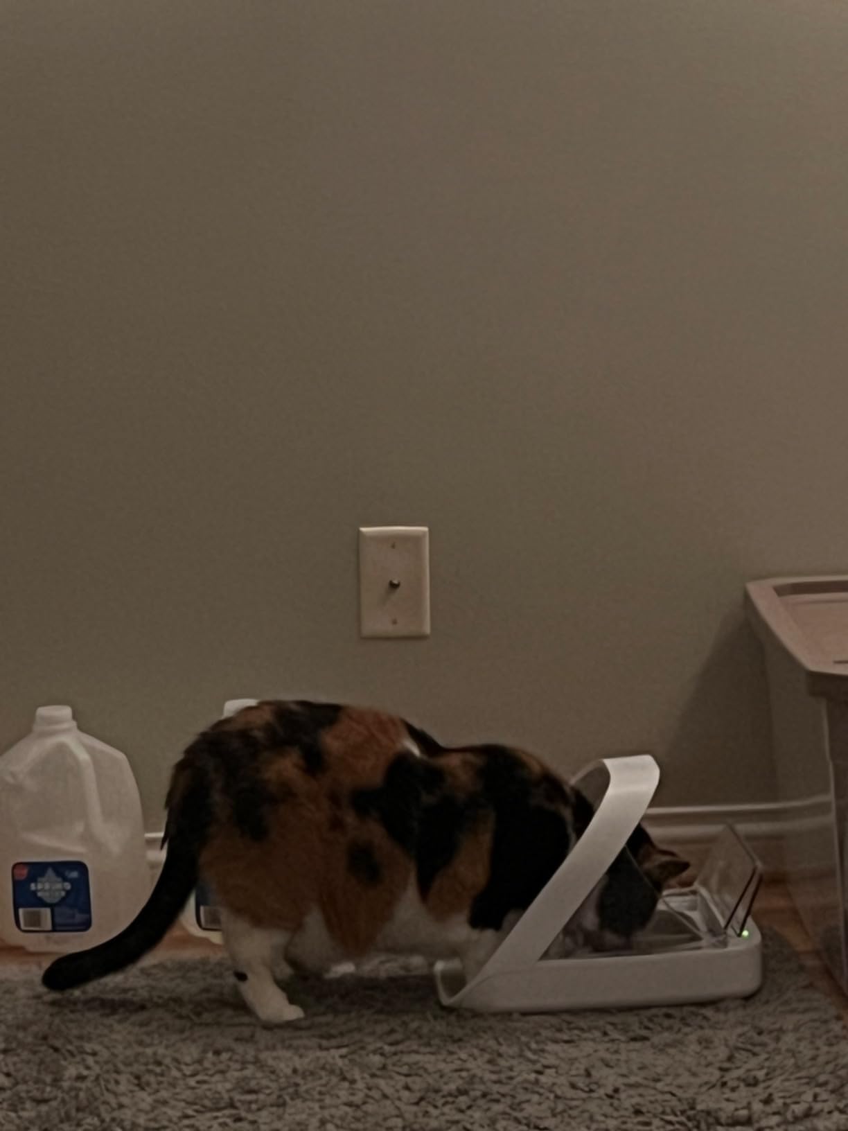 Sure Petcare -SureFlap - SureFeed - Microchip Pet Feeder - Selective-Automatic Pet Feeder Makes Meal Times Stress-Free, Suitable for Both Wet and Dry Food - MPF001 customer photo 1