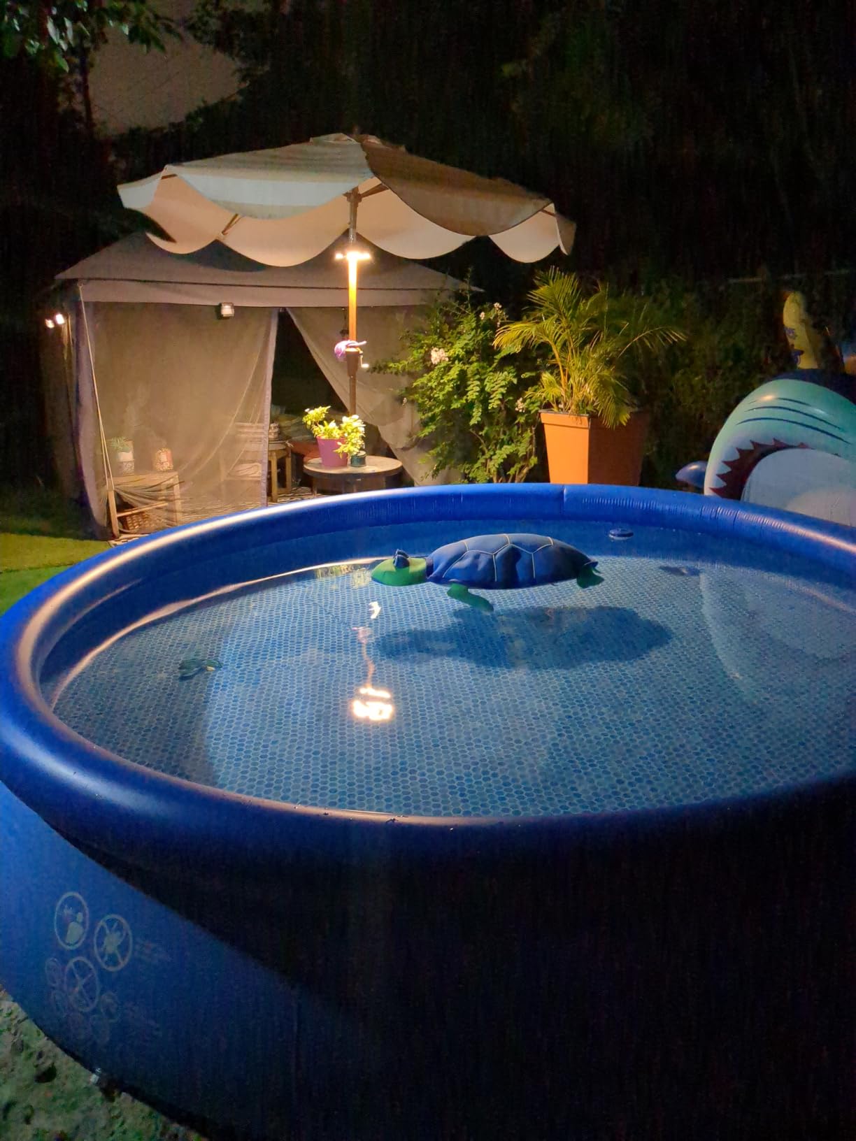INTEX Easy Set 10 ft x 30in Above Ground Pool Set, Round Inflatable Swimming Pool with 330 GPH Cartridge Filter Pump and Type H Cartridge customer photo 2