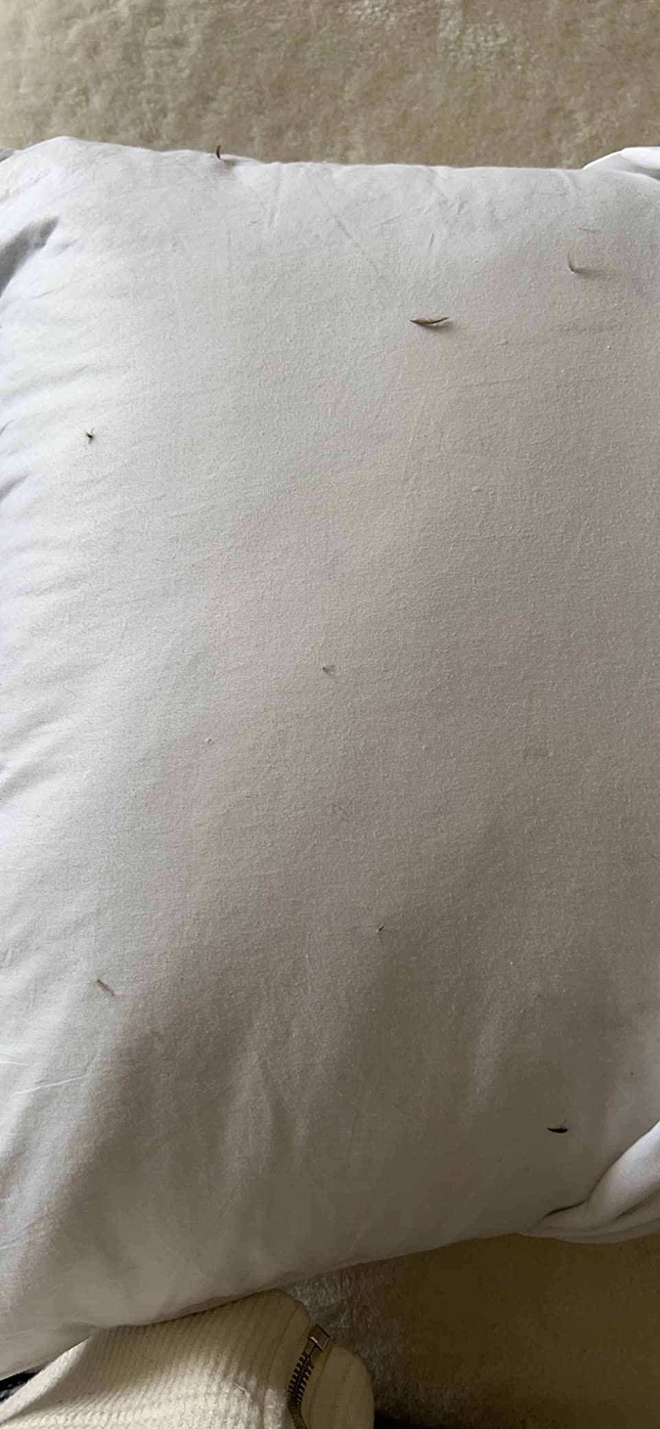 puredown Goose Feathers and Down White Pillows with 100% Cotton Cover, Bed Sleeping Hotel Collection Pillows Set of 2, Standard Size customer photo 1