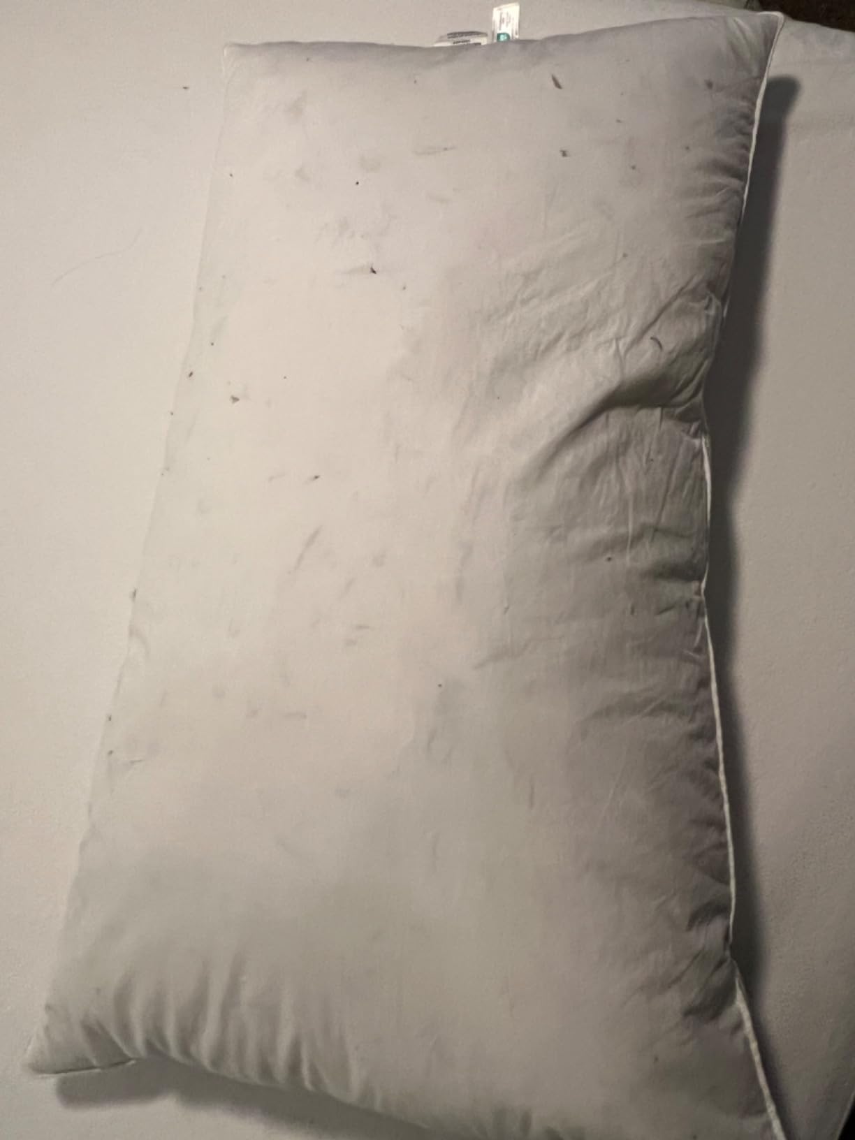 puredown Goose Feathers and Down White Pillows with 100% Cotton Cover, Bed Sleeping Hotel Collection Pillows Set of 2, Standard Size customer photo 2