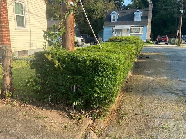 Dewalt Trimmer Hedge Bare 20V DCHT820B customer photo 2