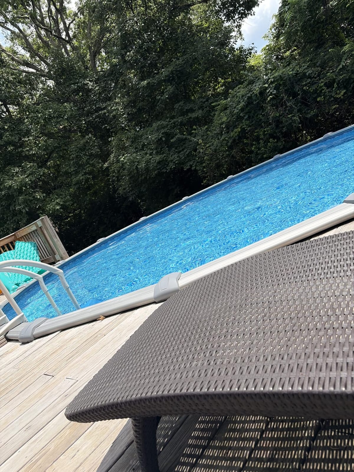 Dolphin (2026 Model) Nautilus AG Automatic Robotic Pool Vacuum Cleaner, Active Scrubber Brush, Top Load Filters Access, Ideal for Above-Ground Pools up to 33 FT in Length customer photo 2