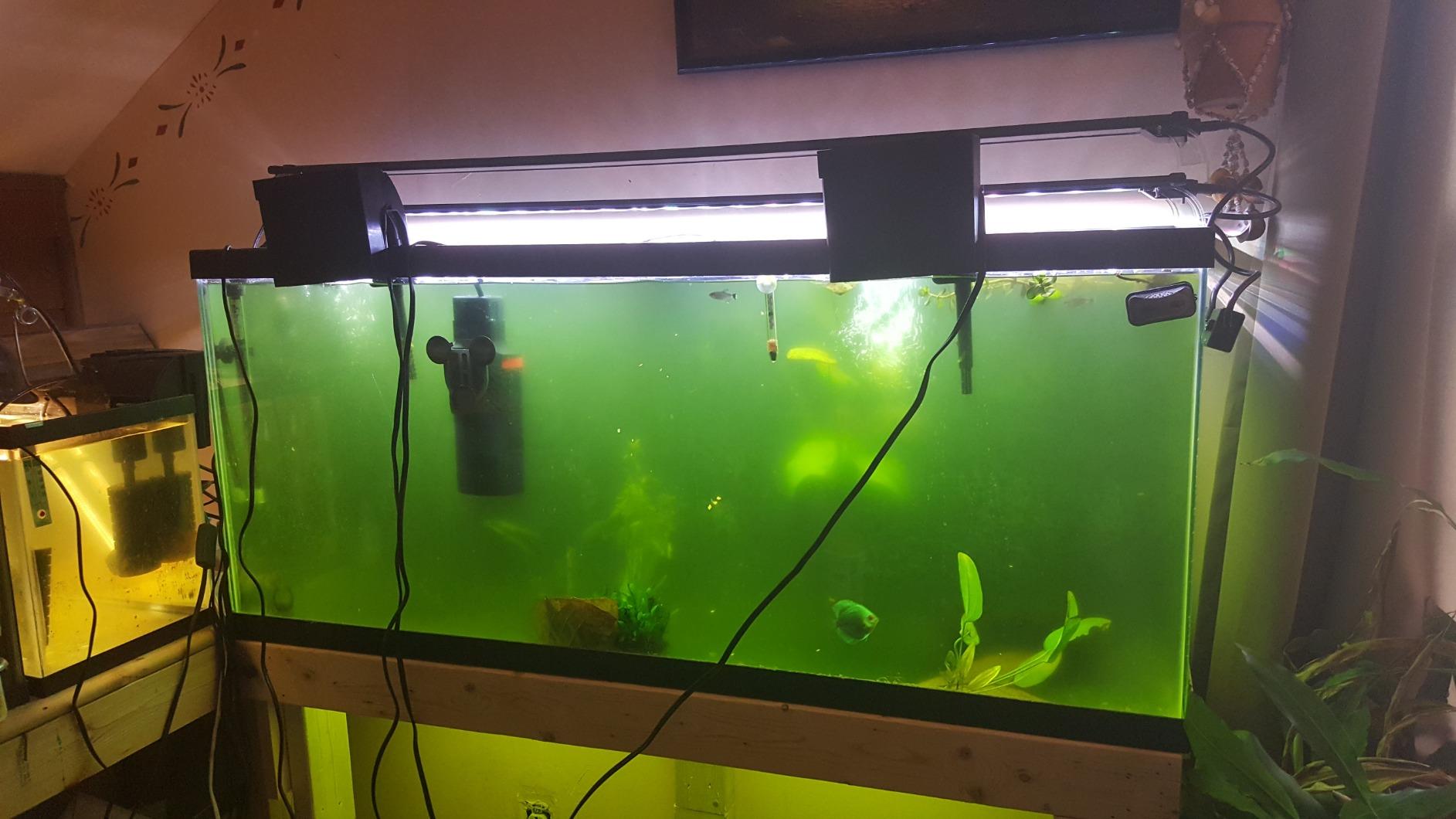 Marineland Magnum Polishing Internal Canister Filter, For Aquariums Up To 97 Gallons customer photo 2