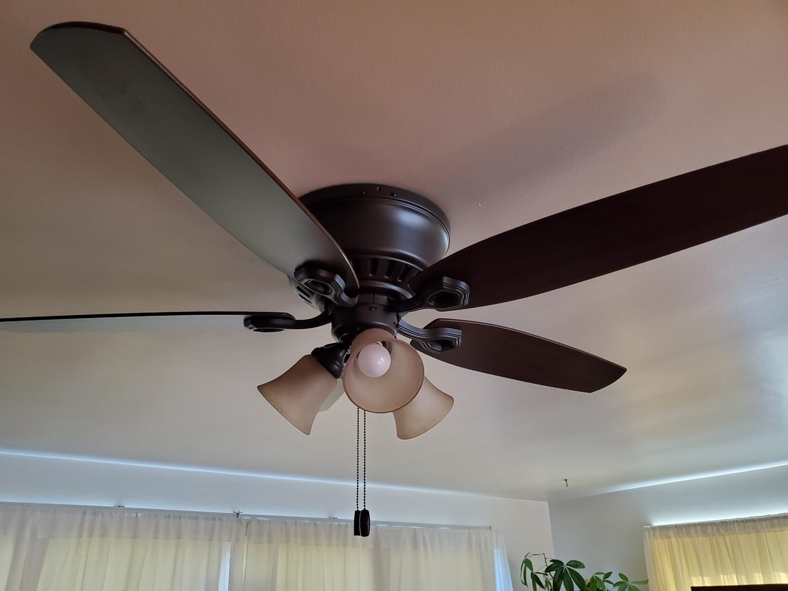 Hunter Builder, Indoor, Ceiling Fan, with LED Lights, 42 inch, Snow White customer photo 1