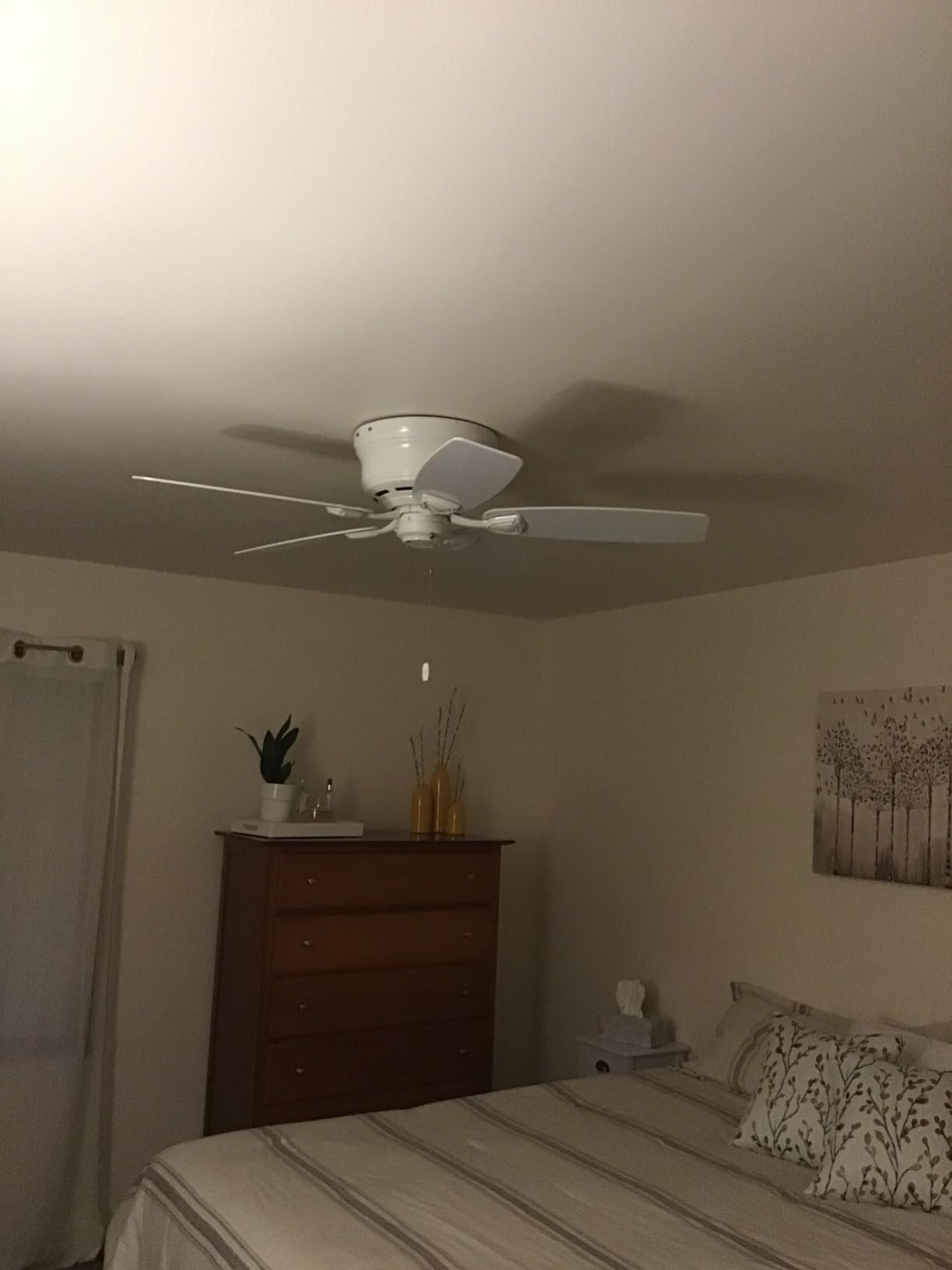Hunter Sea Wind, Outdoor or Indoor, Ceiling Fan, 48 inch, Matte Black customer photo 2