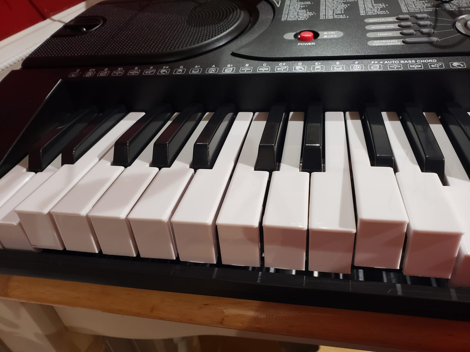 Hamzer 61 Key Beginner Electronic Keyboard Piano with Built-In Speakers, Portable Digital Piano Keyboard Includes Microphone and Keynote Stickers customer photo 2