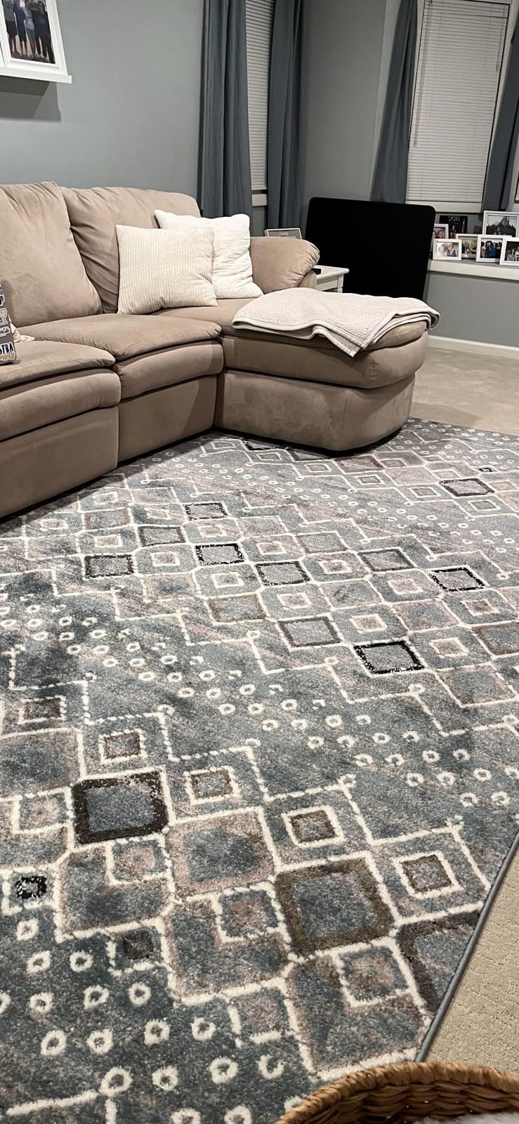 SAFAVIEH Amsterdam Collection Area Rug - 5'1