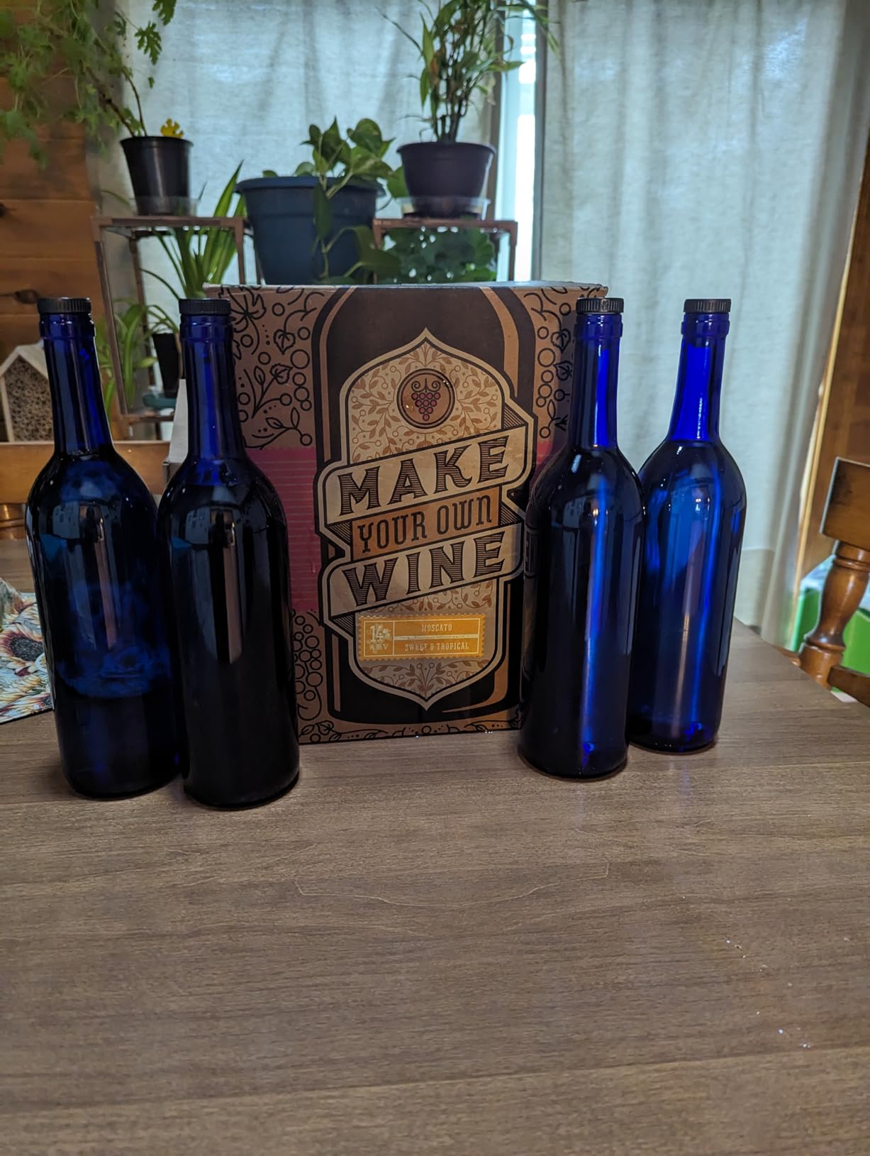 Craft A Brew Making Home Kit – Easy Brew Beginners with Ingredients and Supplies – Ultimate Wine Brewer Experience, 1 Gallon, Pinot Grigio customer photo 2