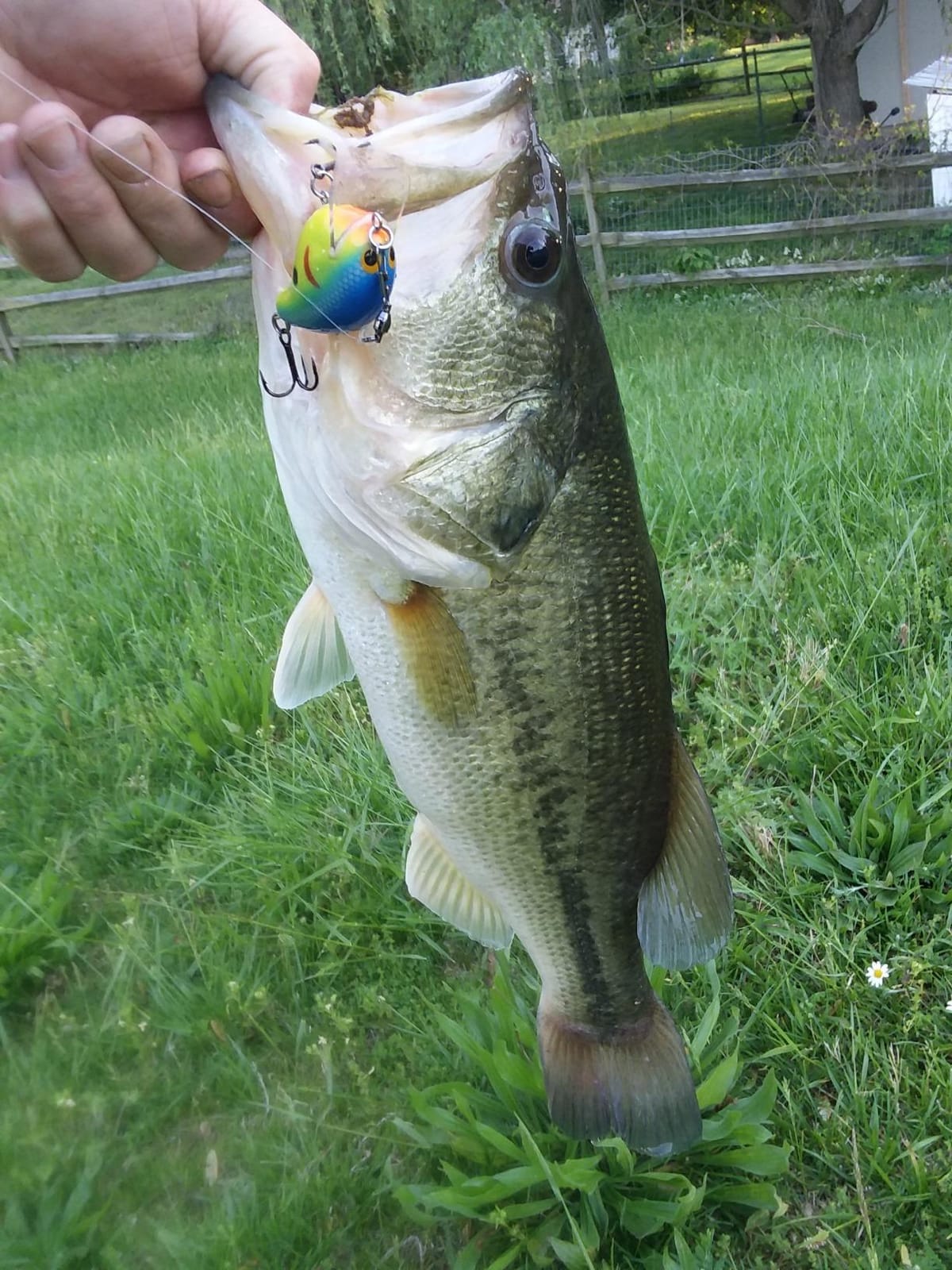 Daiwa Fuego CT Low Profile Baitcasting Reel – Aluminum CT Frame, Air Rotation System & Magforce Braking, Left/Right Hand Options customer photo 1
