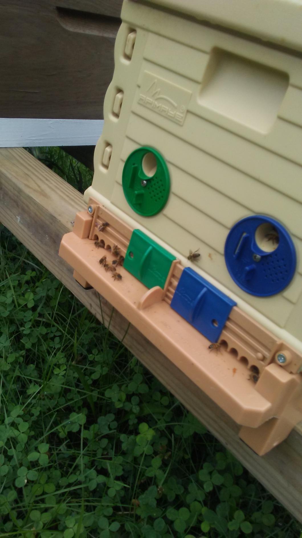 Apimaye Insulated 7 Frame Langstroth Nucleus Assembled Bee Hive Set with Core Frames and Foundations [Tan] customer photo 1