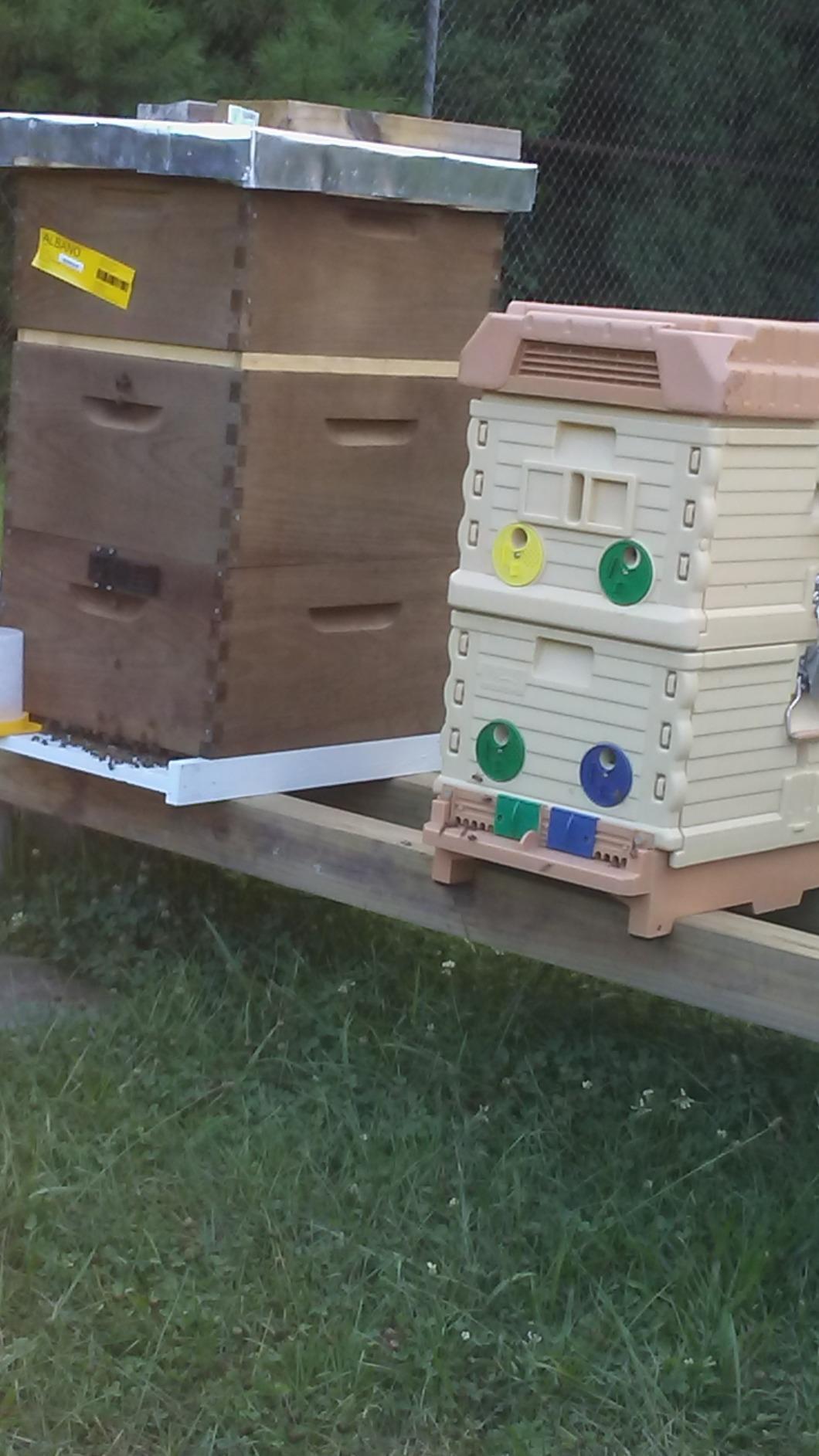 Apimaye Insulated 7 Frame Langstroth Nucleus Assembled Bee Hive Set with Core Frames and Foundations [Tan] customer photo 2