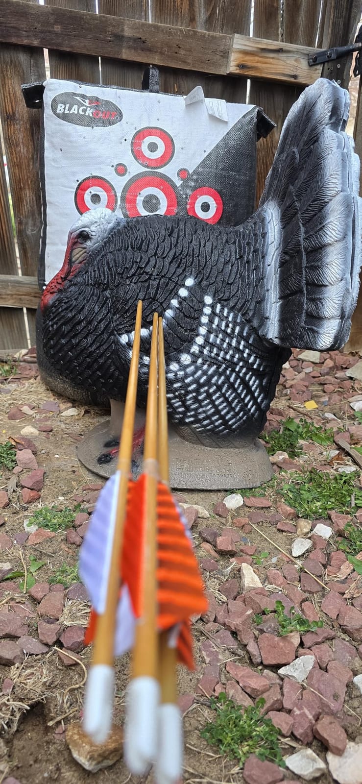Obert Original Black Hunter Takedown Recurve Bow 60inch with Bamboo Core Limbs Archery Hunting Target Practice customer photo 2
