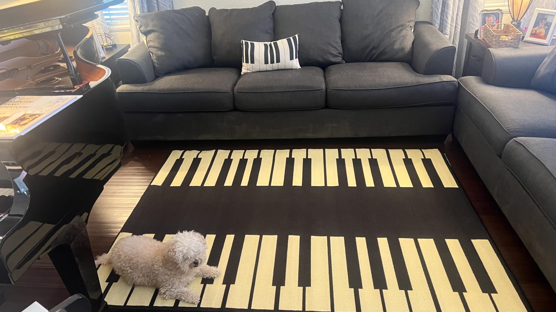 Champion Rugs Music Piano Keys Musical Studio Room Play Keyboard Time Area Rug (5' 3