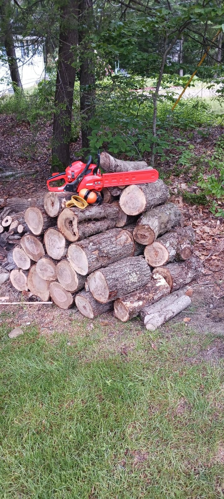 Echo CS-3410-16 30.5 cc Chainsaw with 16 in. Bar and Chain customer photo 1