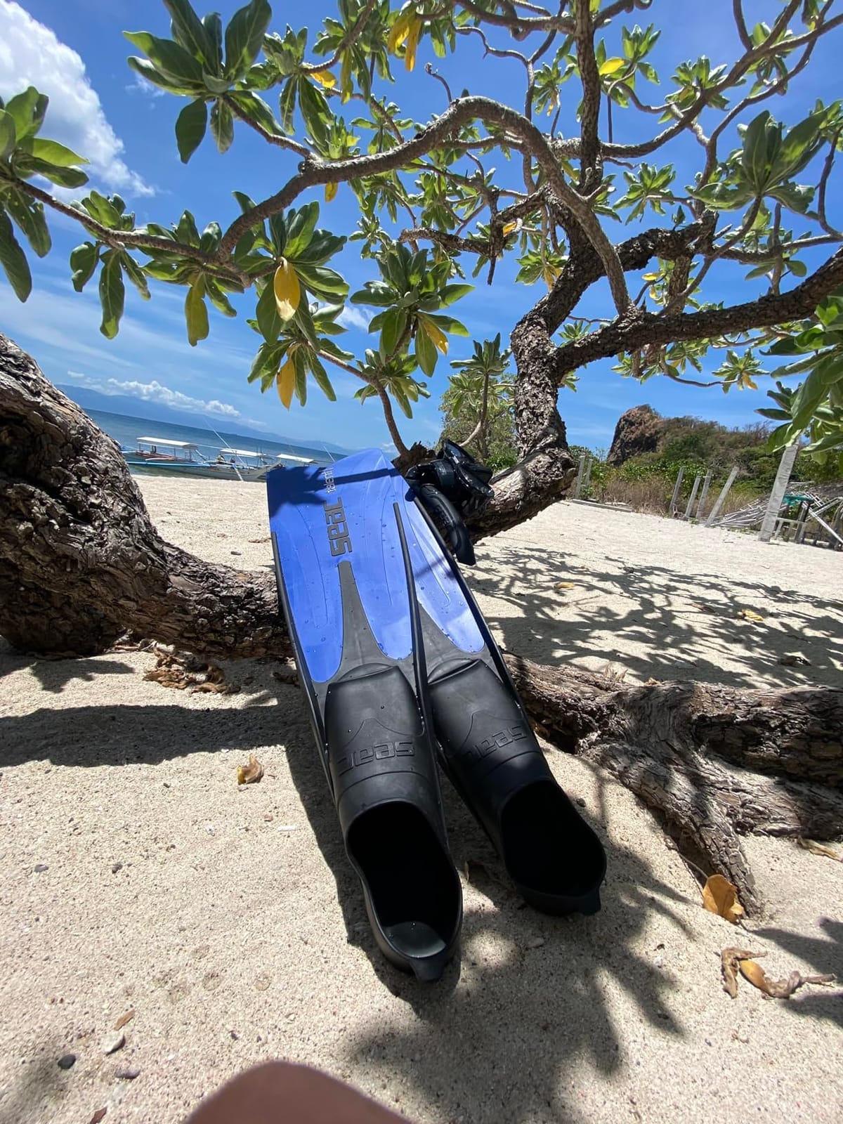 Seac Talent, Semi-Long Fins for Spearfishing, Free Diving and Diving customer photo 1