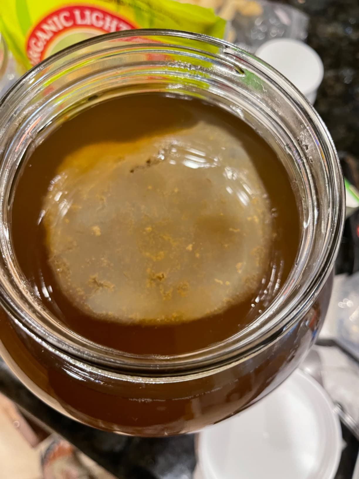 Kombucha Essentials Kit - Includes USDA Organic Kombucha SCOBY + 1-Gallon Glass Fermenting Jar with Breathable Cover + pH Strips + Rubber Band + Adhesive Thermometer - Brew kombucha at Home customer photo 2